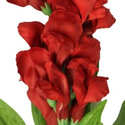 Cheap ๐ 12 Pack: Red Snapdragon Spray by Ashland® โญ 9 Cheap ๐ 12 Pack: Red Snapdragon Spray by Ashland® โญ -Ashlandty Shop 10626425 2