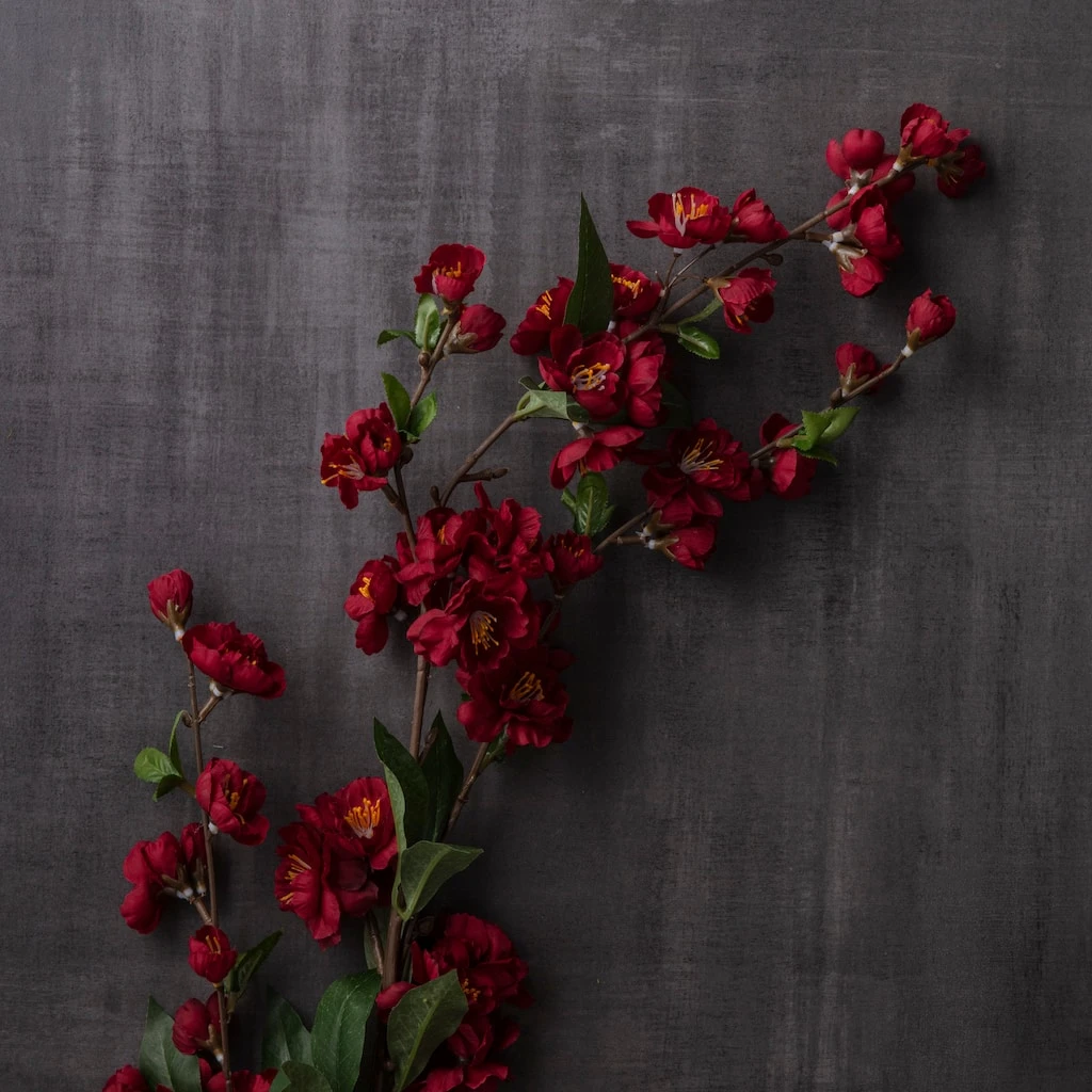 Buy ๐ Burgundy Blossom Spray by Ashland® ๐คฉ 4 Buy ๐ Burgundy Blossom Spray by Ashland® ๐คฉ - Image 2