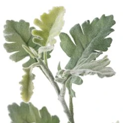 Best reviews of 🥰 Frosted Dusty Miller Spray Stem by Ashland® ⭐ -Ashlandty Shop 10626451 20