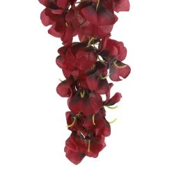 Hot Sale π 12 Pack: Burgundy Wisteria Stem by Ashland® π₯° 9 Hot Sale π 12 Pack: Burgundy Wisteria Stem by Ashland® π₯° -Ashlandty Shop 10626453 2