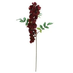 Hot Sale π 12 Pack: Burgundy Wisteria Stem by Ashland® π₯° 10 Hot Sale π 12 Pack: Burgundy Wisteria Stem by Ashland® π₯° -Ashlandty Shop 10626453 3