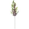 Wholesale π 12 Pack: Burgundy Berry Stem with Leaves by Ashland® β¨ 1 Wholesale π 12 Pack: Burgundy Berry Stem with Leaves by Ashland® β¨ -Ashlandty Shop 10626463 1