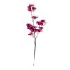 Outlet π Mauve Anemone Stem by Ashland® π 1 Outlet π Mauve Anemone Stem by Ashland® π -Ashlandty Shop 10626465 21
