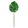 Best Pirce ✨ 12 Pack: Monstera Leaf Stem by Ashland® 👍 1 Best Pirce ✨ 12 Pack: Monstera Leaf Stem by Ashland® 👍 -Ashlandty Shop 10626467 1