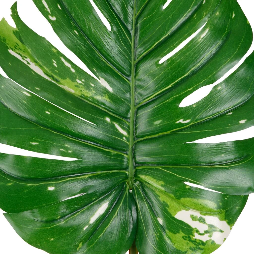 Best Pirce ✨ 12 Pack: Monstera Leaf Stem by Ashland® 👍 4 Best Pirce ✨ 12 Pack: Monstera Leaf Stem by Ashland® 👍 - Image 2