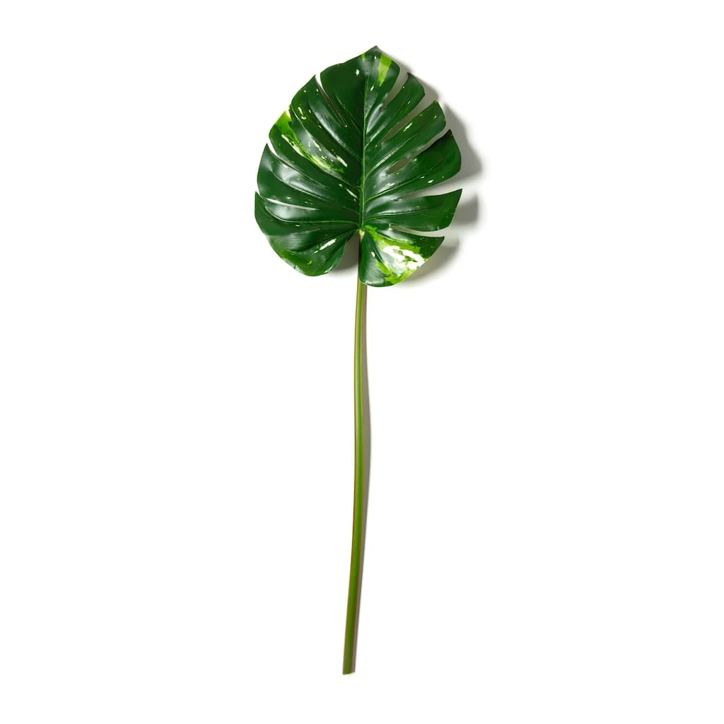 Best Sale π Monstera Leaf Stem by Ashland® π₯° 3 Best Sale π Monstera Leaf Stem by Ashland® π₯°