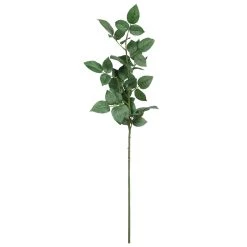Top 10 🧨 12 Pack: Rose Leaf Stem by Ashland® 🔔