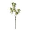 Coupon ✨ Green Berry Stem with Leaves by Ashland® 🔥 -Ashlandty Shop 10626473 21