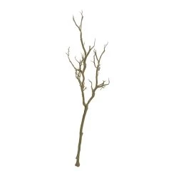 Deals ⌛ Bare Birch Branch by Ashland® ❤️