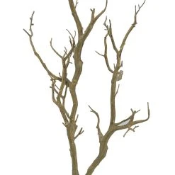 Deals ⌛ Bare Birch Branch by Ashland® ❤️ -Ashlandty Shop 10626481 2