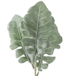 Wholesale 𧨠Green Dusty Miller Stem by Ashland® π 7 Wholesale 𧨠Green Dusty Miller Stem by Ashland® π -Ashlandty Shop 10626483 20