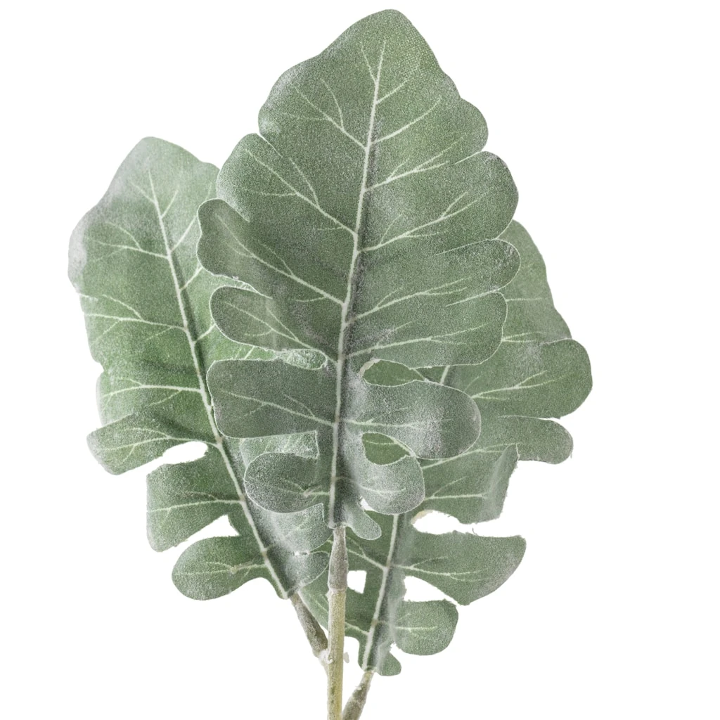 Wholesale 𧨠Green Dusty Miller Stem by Ashland® π 5 Wholesale 𧨠Green Dusty Miller Stem by Ashland® π - Image 3