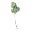 Wholesale 🧨 Green Dusty Miller Stem by Ashland® 😉 -Ashlandty Shop 10626483 21