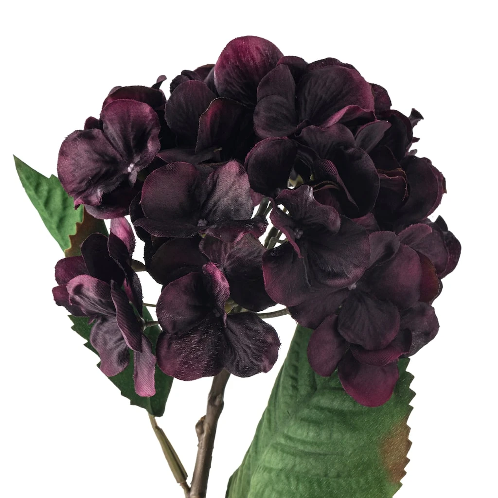 Best reviews of π Black & Purple Hydrangea Stem by Ashland® π 5 Best reviews of π Black & Purple Hydrangea Stem by Ashland® π - Image 3