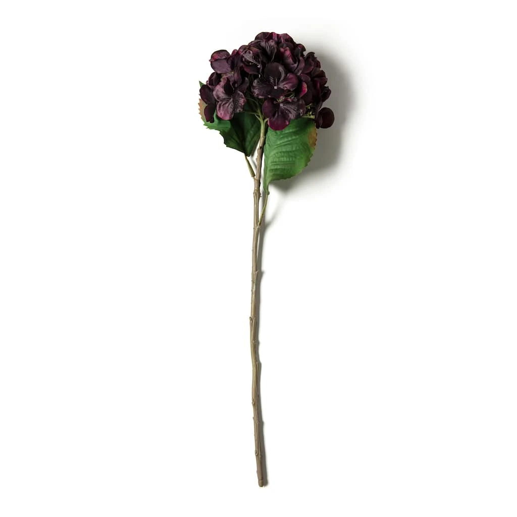 Best reviews of π Black & Purple Hydrangea Stem by Ashland® π 3 Best reviews of π Black & Purple Hydrangea Stem by Ashland® π