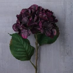 Best reviews of π Black & Purple Hydrangea Stem by Ashland® π 6 Best reviews of π Black & Purple Hydrangea Stem by Ashland® π -Ashlandty Shop 10626485 22