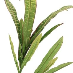 Wholesale 🌟 12 Pack: Green & Yellow Croton Stem by Ashland® ✨ -Ashlandty Shop 10626491 2 1