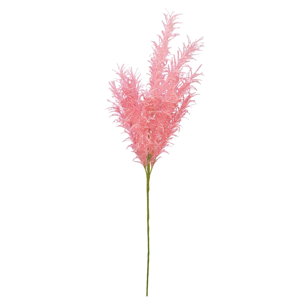 Best deal π 6 Pack: Peach Pampas Grass Stem by Ashland® π€© 3 Best deal π 6 Pack: Peach Pampas Grass Stem by Ashland® π€©