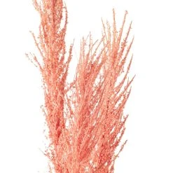 Promo ✨ Peach Pampas Grass Stem by Ashland® 🤩 -Ashlandty Shop 10626520 20