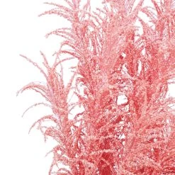 Best deal π 6 Pack: Peach Pampas Grass Stem by Ashland® π€© 9 Best deal π 6 Pack: Peach Pampas Grass Stem by Ashland® π€© -Ashlandty Shop 10626520 3