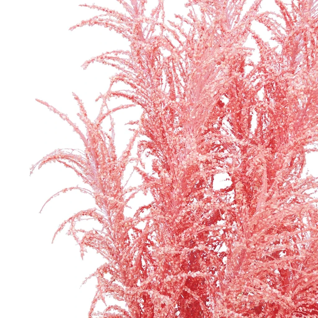 Best deal π 6 Pack: Peach Pampas Grass Stem by Ashland® π€© 4 Best deal π 6 Pack: Peach Pampas Grass Stem by Ashland® π€© - Image 2