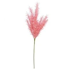 Best deal π 6 Pack: Peach Pampas Grass Stem by Ashland® π€© 10 Best deal π 6 Pack: Peach Pampas Grass Stem by Ashland® π€© -Ashlandty Shop 10626520 4