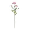 Best reviews of ⭐ Pink Buttercup Spray Stem by Ashland® ✨ -Ashlandty Shop 10626529 1