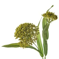 Discount 😍 Green Queen Anne's Lace Stem by Ashland® ❤️ -Ashlandty Shop 10626560 20