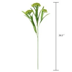 Discount 😍 Green Queen Anne's Lace Stem by Ashland® ❤️ -Ashlandty Shop 10626560 3