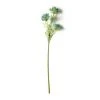 Buy βοΈ Blue Queen Anne's Lace Stem by Ashland® π€© 2 Buy βοΈ Blue Queen Anne's Lace Stem by Ashland® π€© -Ashlandty Shop 10626566 21