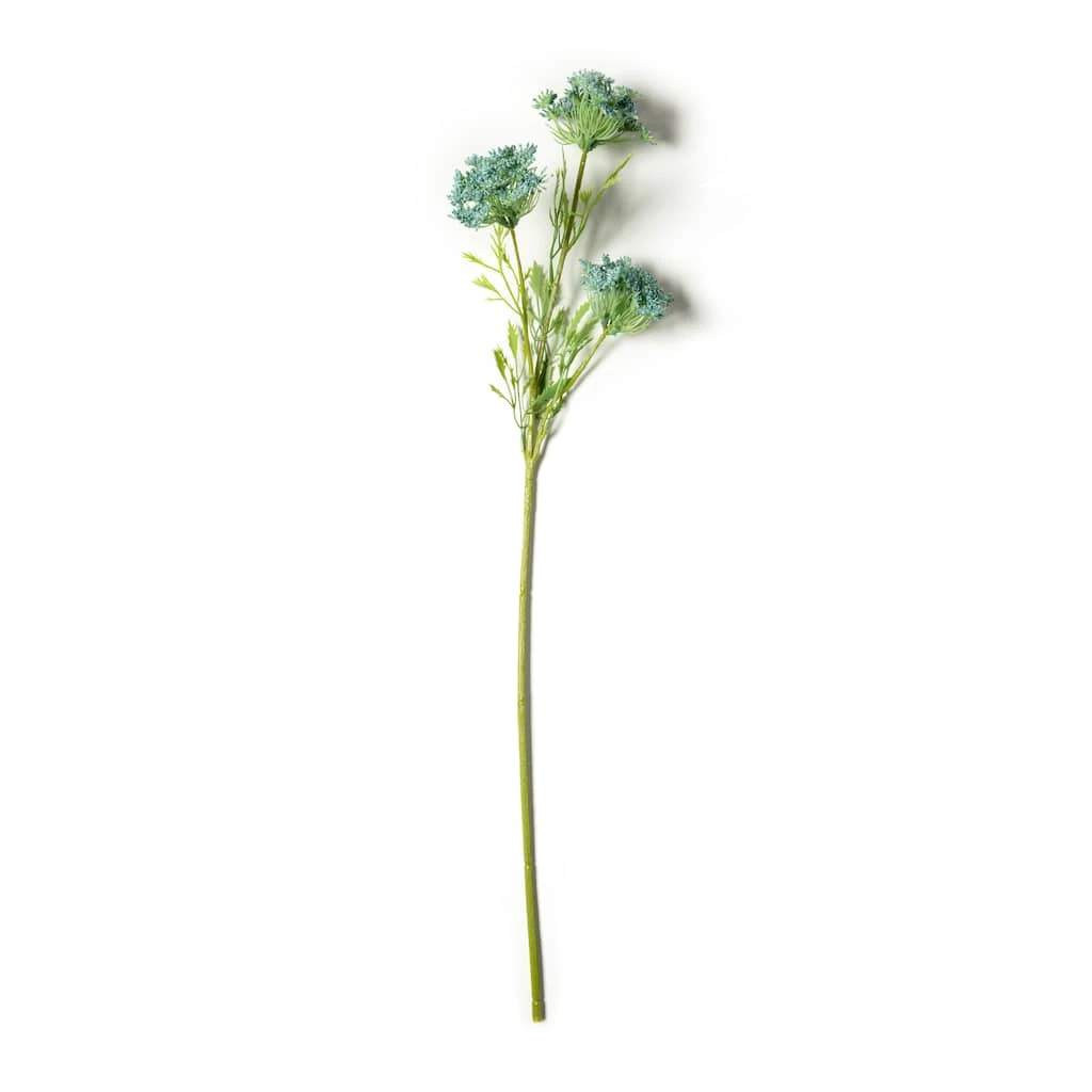 Buy โ๏ธ Blue Queen Anne's Lace Stem by Ashland® ๐คฉ 3 Buy โ๏ธ Blue Queen Anne's Lace Stem by Ashland® ๐คฉ