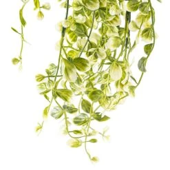 Discount 🧨 6 Pack: Cream & Green Hanging Smilax Bush by Ashland® 🎁 -Ashlandty Shop 10626845 20