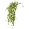 Best Pirce β€οΈ Green Hanging Smilax Bush by Ashland® π 2 Best Pirce β€οΈ Green Hanging Smilax Bush by Ashland® π -Ashlandty Shop 10626846 1