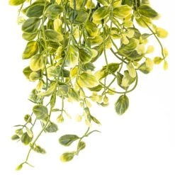 Best Pirce ❤️ Green Hanging Smilax Bush by Ashland® 🌟 -Ashlandty Shop 10626846 20