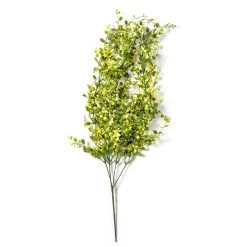 Best Pirce ❤️ Green Hanging Smilax Bush by Ashland® 🌟 -Ashlandty Shop 10626846 21