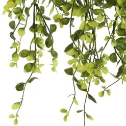 Flash Sale 🥰 6 Pack: Green Hanging Smilax Bush by Ashland® ✨ -Ashlandty Shop 10626846 3 1