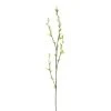 Best Sale π 12 Pack: Green Willow Stem by Ashland® 𧨠1 Best Sale π 12 Pack: Green Willow Stem by Ashland® 𧨠-Ashlandty Shop 10626847 1