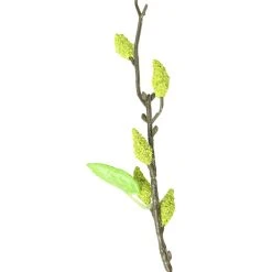 Best Sale π 12 Pack: Green Willow Stem by Ashland® 𧨠9 Best Sale π 12 Pack: Green Willow Stem by Ashland® 𧨠-Ashlandty Shop 10626847 2