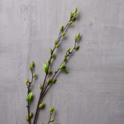 Top 10 🎁 Green Willow Stem by Ashland® ⭐ -Ashlandty Shop 10626847 22