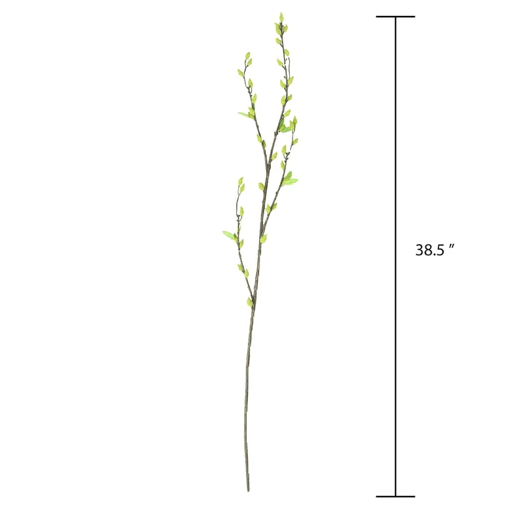 Best Sale π 12 Pack: Green Willow Stem by Ashland® 𧨠5 Best Sale π 12 Pack: Green Willow Stem by Ashland® 𧨠- Image 3