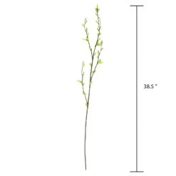 Top 10 🎁 Green Willow Stem by Ashland® ⭐ -Ashlandty Shop 10626847 3
