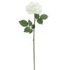 Deals 🥰 6 Pack: White Rose Stem by Ashland® 👍 -Ashlandty Shop 10626862 1