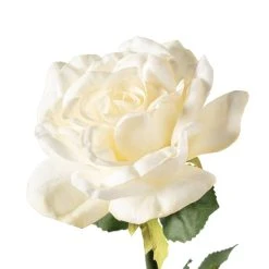Coupon 💯 White Rose Stem by Ashland® ⌛ -Ashlandty Shop 10626862 20