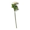 Coupon 💯 White Rose Stem by Ashland® ⌛ -Ashlandty Shop 10626862 21
