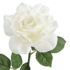 Deals 🥰 6 Pack: White Rose Stem by Ashland® 👍 -Ashlandty Shop 10626862 3