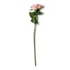 Cheap β Blush Rose Stem by Ashland® π€© 1 Cheap β Blush Rose Stem by Ashland® π€© -Ashlandty Shop 10626864 21