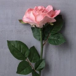 Cheap ⭐ Blush Rose Stem by Ashland® 🤩 -Ashlandty Shop 10626864 22