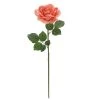 Top 10 ⌛ 6 Pack: Coral Rose Stem by Ashland® ⌛ -Ashlandty Shop 10626866 1