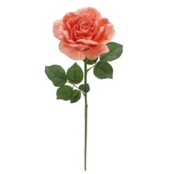 Top 10 ⌛ 6 Pack: Coral Rose Stem by Ashland® ⌛ 10 Top 10 ⌛ 6 Pack: Coral Rose Stem by Ashland® ⌛ -Ashlandty Shop 10626866 4
