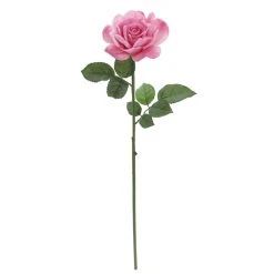 Promo 💯 6 Pack: Pink Rose Stem by Ashland® 🛒